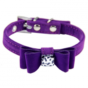 Purple Cat Collar