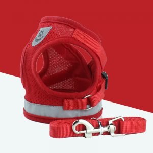Breathable Cat Harness