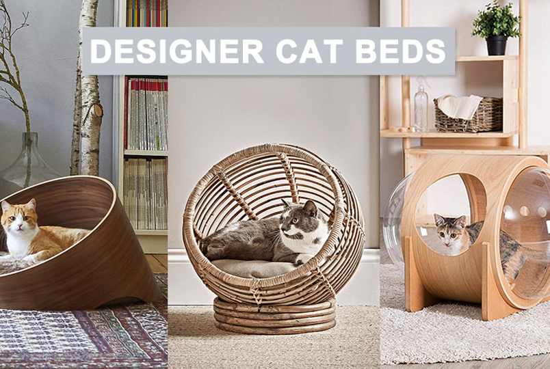 The Best Cat Beds 2021