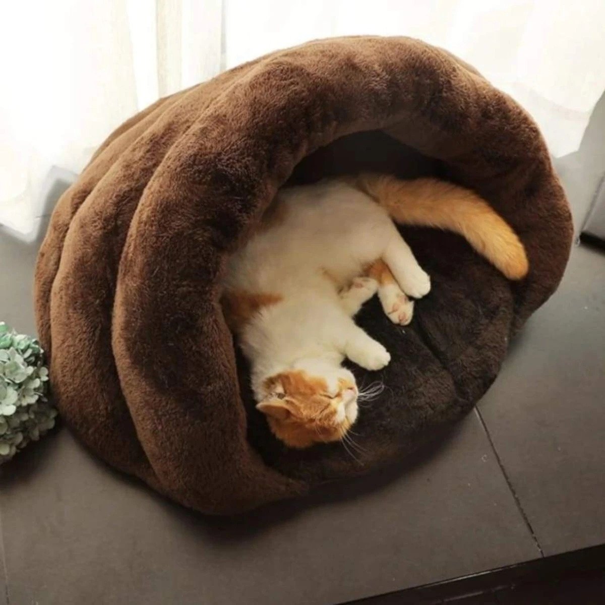 Purrfect.cat-cosy-heated-cat-bed-best-beds-cave_149_1024x1024@2x (1)